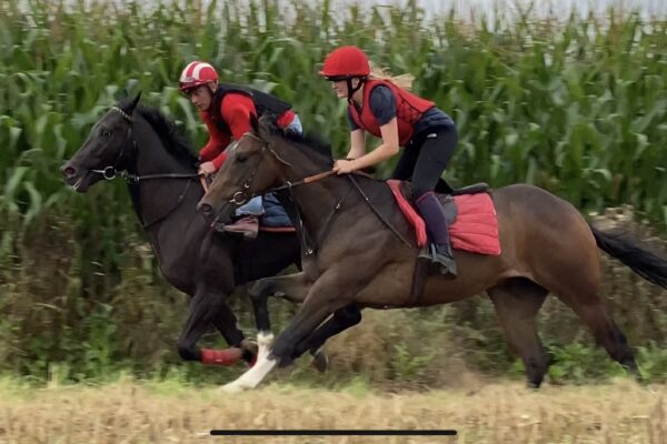 A little bit of news